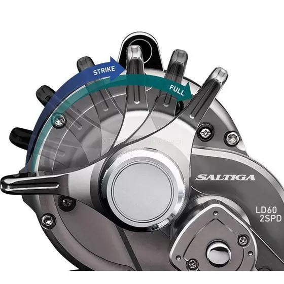 Daiwa Saltiga LD20-2SPD 20SALTGLD202SPD_2.webp