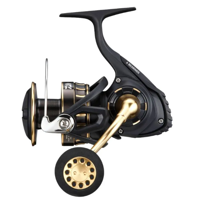 Daiwa 23 BG SW 23BGSW6000DP.png