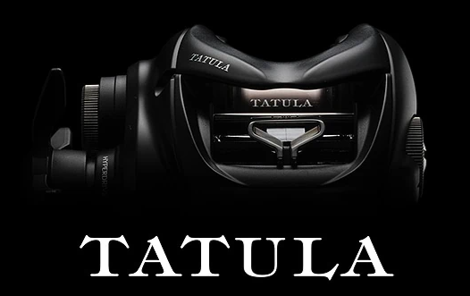 Daiwa 24 TATULA SV TW 24TATSV100HL.png