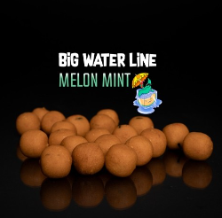 Fish Food Melon Mint F22-160.png