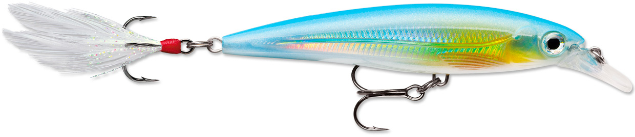 RAPALA X-RAP XR 10 RA5800016_1.jpg