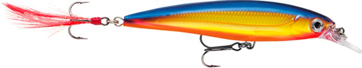 RAPALA X-RAP XR 10 RA5800016_11.jpg