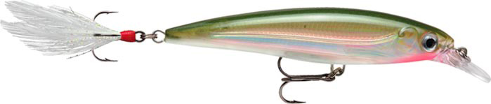 RAPALA X-RAP XR 10 RA5800016_12.jpg