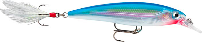 RAPALA X-RAP XR 10 RA5800016_13.jpg