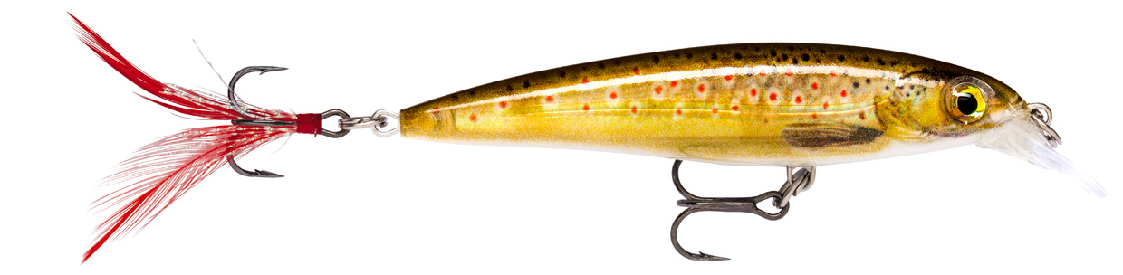 RAPALA X-RAP XR 10 RA5800016_18.jpg