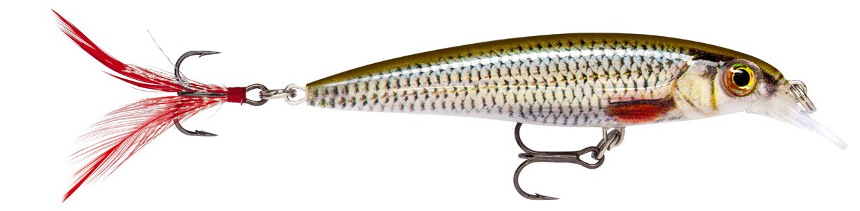 RAPALA X-RAP XR 10 RA5800016_5.jpg