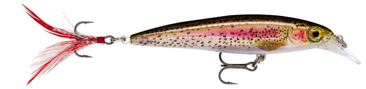 RAPALA X-RAP XR 10 RA5800016_7.jpg