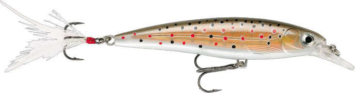 RAPALA X-RAP XR 10 RA5800016_8.jpg