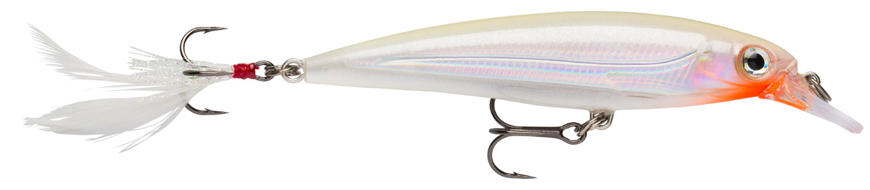 RAPALA X-RAP XR 10 RA5800016_9.jpg