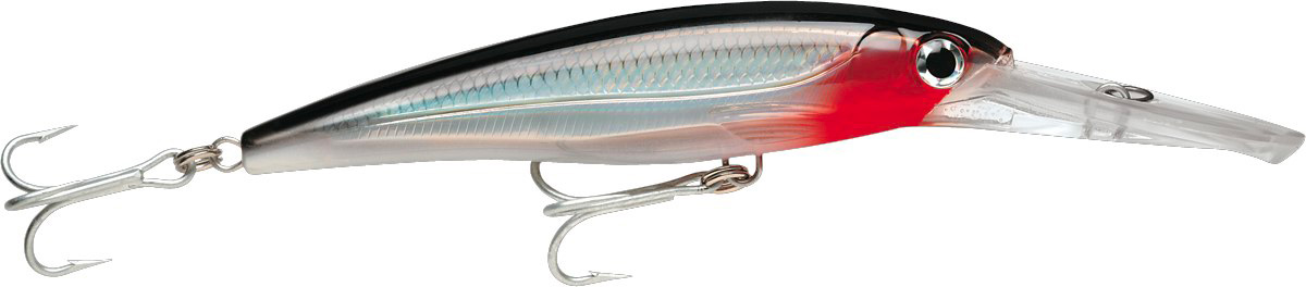 RAPALA X-RAP MAGNUM 30 RA5800504.jpg