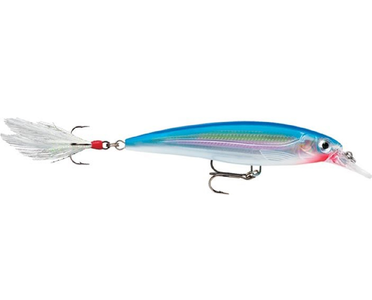 RAPALA X-RAP XR-4 RA5809293.jpg