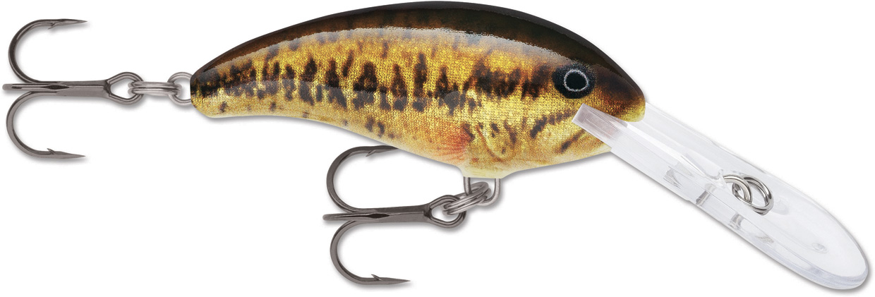 RAPALA SHAD DANCER SDD05 RA5818365_10.jpg