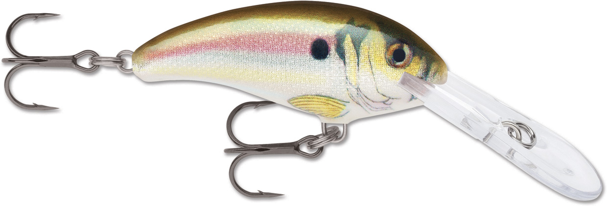 RAPALA SHAD DANCER SDD05 RA5818365_9.jpg