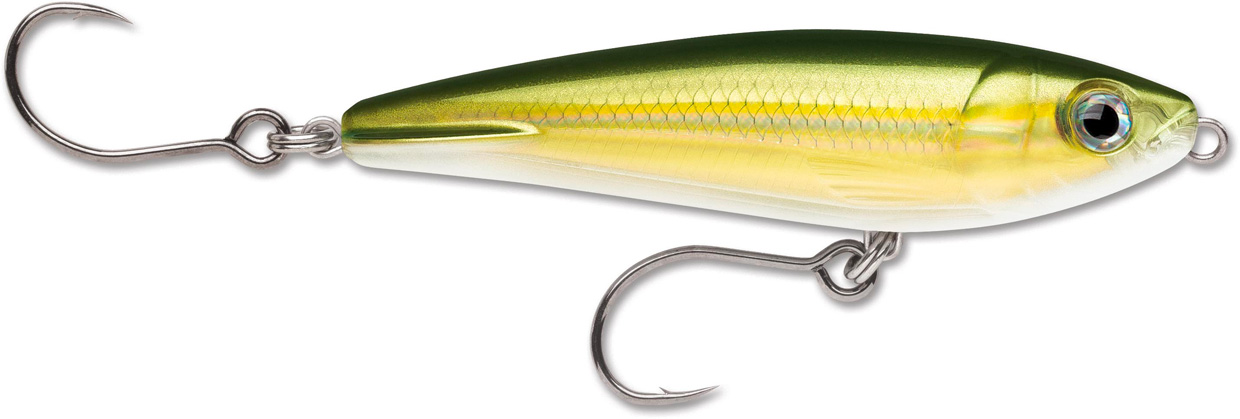 RAPALA X-RAP SALTW. SUBWALK15 RA5818623_4.jpg