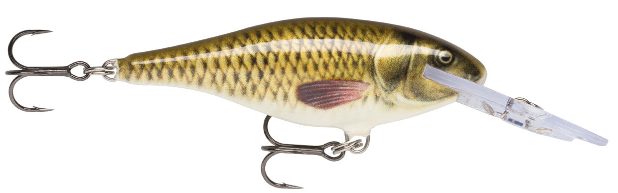 RAPALA SHAD RAP SR09 RA5819146_4.jpg