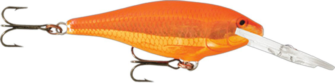 RAPALA SHAD RAP SR09 RA5819146_7.jpg